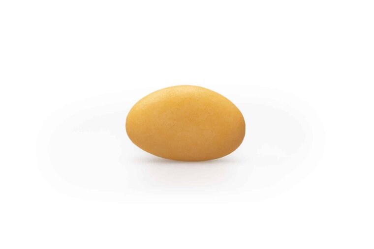 Abrikoos