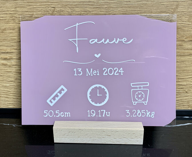 Plexi Fauve 