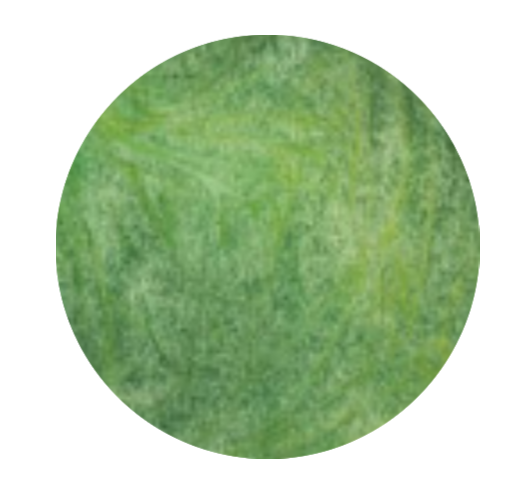Sticker dark green
