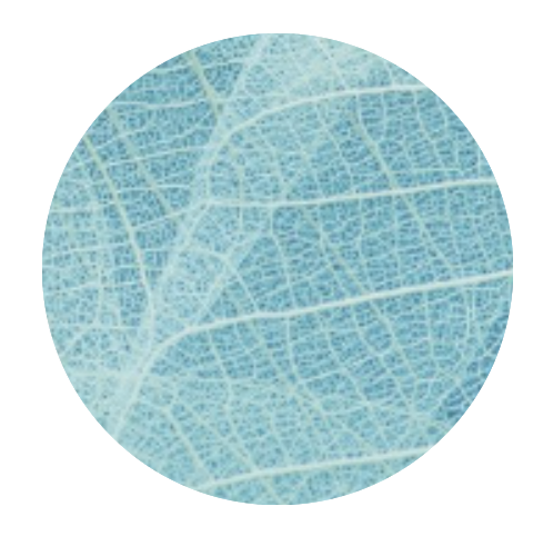 Label blad nerven