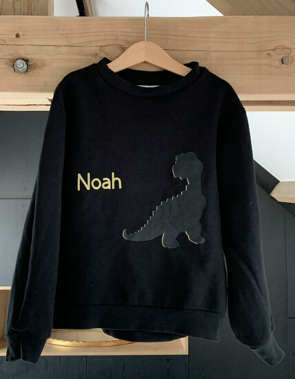 Kids sweater dino naam